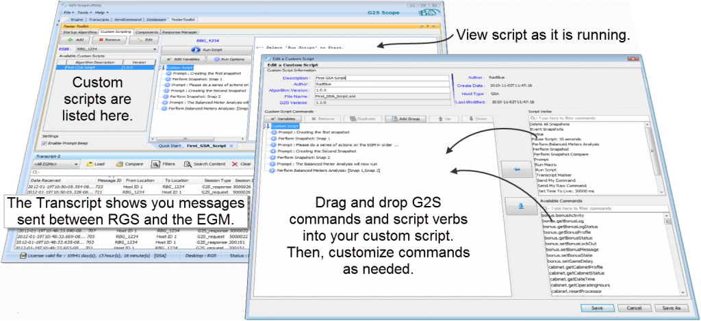 Custom Scripting in the RadBlue G2S Scope (RGS)